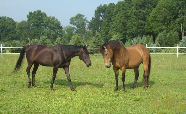 10400825_23919419915_5420_n